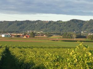 IMG-20170916-WA0011