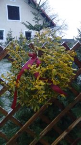 IMG_20171204_160921601